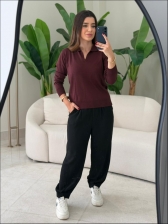 BLUSA ARY MANGA LONGA LISA - BERINJELA